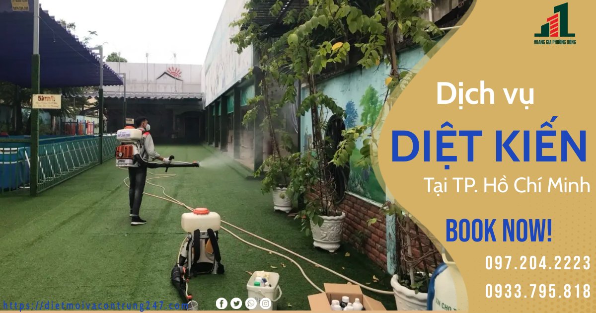DỊCH VỤ DIỆT KIẾN TẠI TP HỒ CHÍ MINH